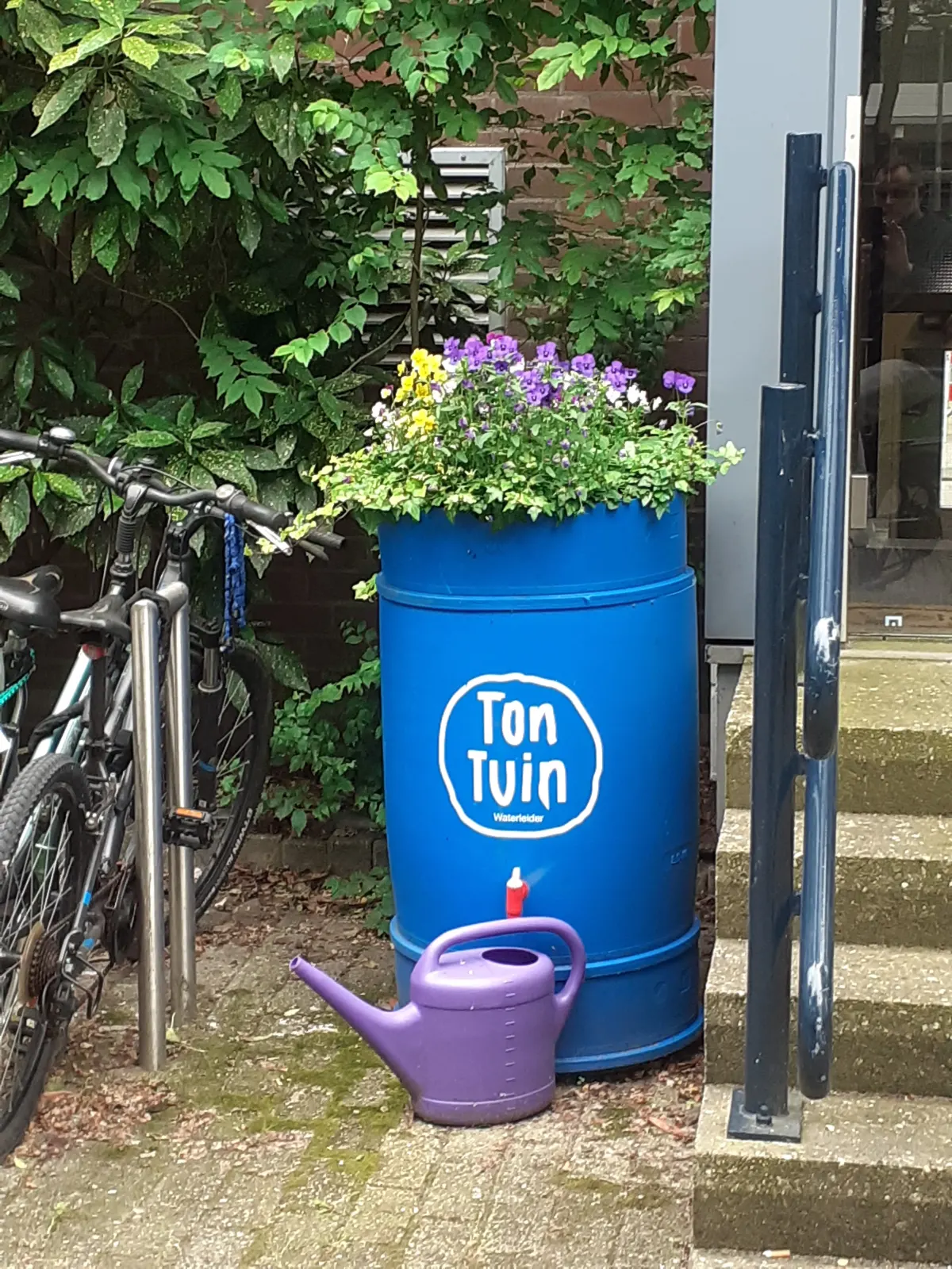 TonTuin regenton met groene beplanting